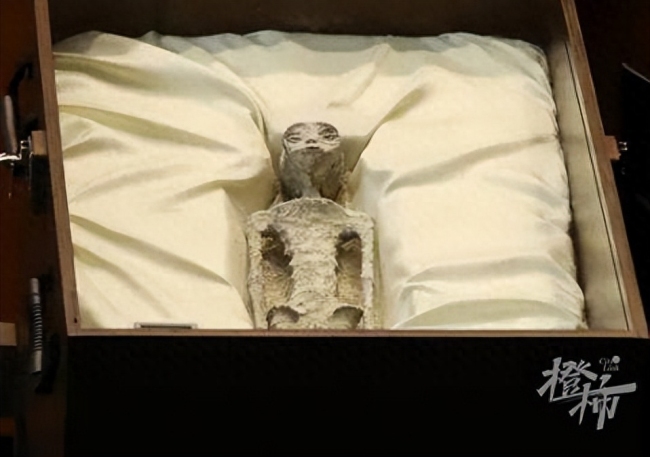 在墨西哥國會展示的兩具“外星人遺體”，可能又是人為拼接的木乃伊？