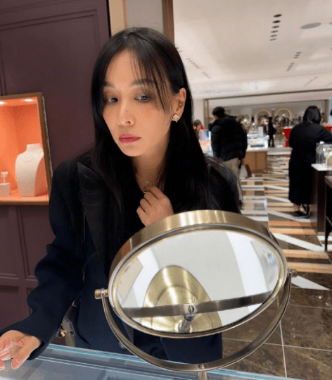 涉嫌偷稅漏稅的韓國頂級明星是張東健妻子高小英