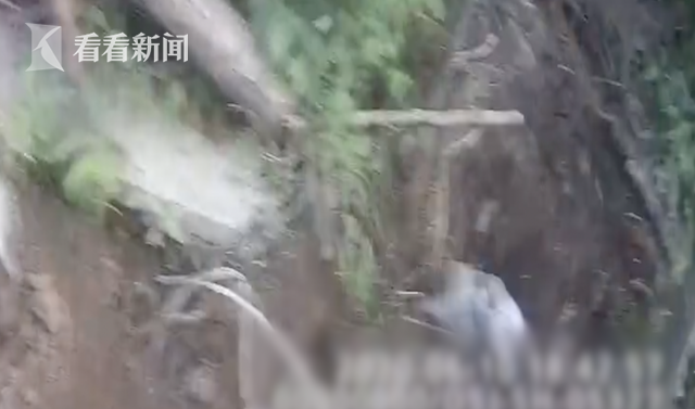 埋地里的36萬被盜？老人急到報警 結局出乎意料